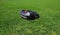 Robot lawnmower mows lawn, side view