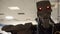 Robot made of metal and wires with flashing angry red eyes on cranium filmed in closeup