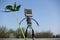 Robot made of parts of circuit boards on green grass. Android in the garden eco-friendly concept