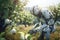 robot picks apples in the orchard with Generative AI