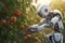 robot picks apples in the orchard with Generative AI