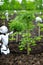 Robot planting tree