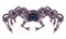 Robot spider mecha robotic mechanical arm tarantula crawling spy military bot