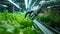 Robotic arm artificial intelligence computer automated machine harvesting hydroponic lettuce