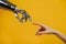 Robotic arm and a woman& x27;s hand pull their fingers together on a yellow background