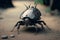 A robotic beetle, futuristic vision of the future