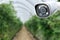 Robotic and CCTV Camera on Smart Green House .