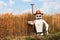 Robotic farmer with a pitchfork is standing in front of a cornfield
