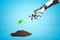 Robotic hand reaching to new green sprout on blue background