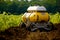 Robotic harvesting of potato crops in the field. Mechanisms of the future