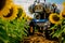 Robotic harvesting of sunflower crops. Mechanisms of the future