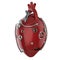 Robotic heart isolated