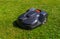 Robotic Lawn Mower