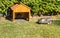 Robotic Lawn Mower Cutting grass in the garden