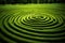 robotic lawn mower grass in a spiral pattern