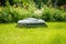 robotic lawnmower grass in a garden