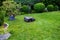 robotic lawnmower mowing garden lawn