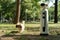 robotic service unit with camera eyes walking shih tzu in public park