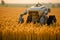 Robotic wheat harvesting. Mechanisms of the future