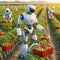 Robots harvesting tomatoes in a crop meadow.
