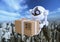 Robots, spherical drones flying with box in their claws