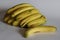 Robusta banana. Vibrant cluster of a dozen premium Robusta bananas, ripe and bountiful