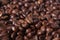 Robusta Coffee Beans