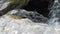 Rock, above Mash Fork Waterfalls Camp Creek State Park & Forest, WV