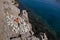 Rock and Adriatic sea, rope with buoys