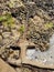 Rock anchor in rock formations at beach