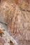 Rock art at Ubirr, kakadu national park, australia