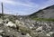 Rock avalanche at the Frank slide in Alberta Canada