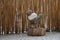 Rock balance on the patio in bridge