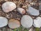 Rock border after a spring thaw