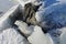 Rock Bursting through Ice, Frozen Baltic Sea, Helsinki, Finland.