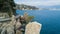 The Rock of Cadrega, maritime pine tree, aerial view, waterfront between Santa Margherita Ligure and Portofino Liguria,