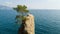 The Rock of Cadrega, maritime pine tree, aerial view, waterfront between Santa Margherita Ligure and Portofino Liguria,