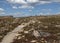 Rock Cairns along the North Inlet Trail, Rocky Mountain National Park