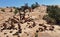 Rock cairns and trail sign on Arches NP Delicate Arch trail