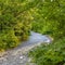 Rock Canyon trail amidst lush foliage in Provo