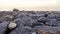 Rock claiming or hiking up top of breakwater in tropical summer ocean