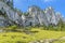 Rock Cliffs Pastures Climbing Mount Pilatus Lucerne Switzerland