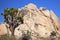 Rock Climb Joshua Tree National Park