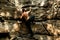 Rock climber climbs bouldering on a cliff on forest. Low angle of strong rock climbing man hanging free on rock with