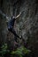 Rock climber dangles in midair as he struggles to climb a challenging cliff.