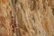 Rock climber lead climbing on challenging overhanging climbing route on tufa rocks