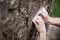 Rock climber`s hands gripping small hold on natural cliff