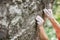 Rock climber`s hands gripping small holds