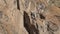 Rock climber struggling to make difficult move while climbing rock wall