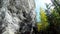 Rock climbers next to the cliff in forest 4k